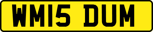 WM15DUM