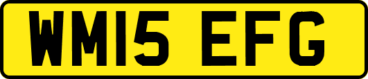 WM15EFG
