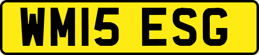 WM15ESG