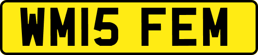 WM15FEM