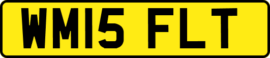 WM15FLT