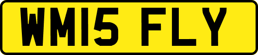 WM15FLY