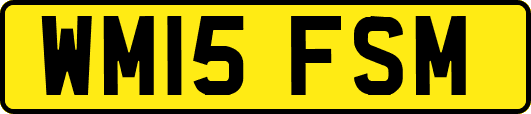 WM15FSM