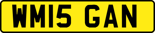 WM15GAN