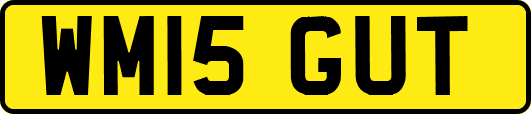 WM15GUT