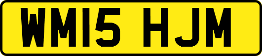 WM15HJM