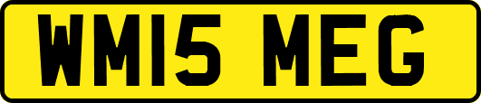 WM15MEG