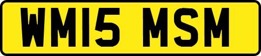 WM15MSM
