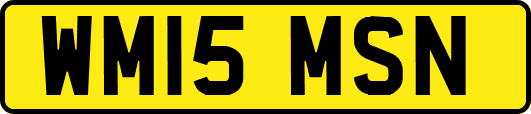 WM15MSN