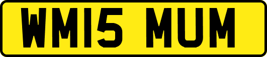 WM15MUM