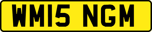 WM15NGM