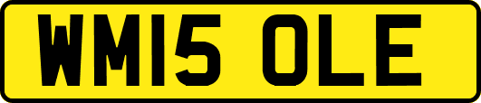 WM15OLE