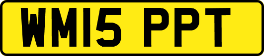 WM15PPT