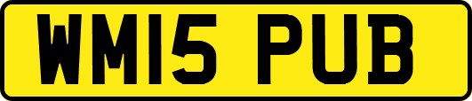 WM15PUB