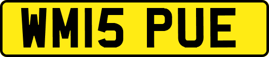 WM15PUE