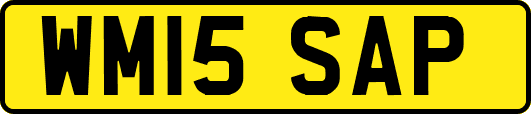WM15SAP