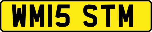 WM15STM