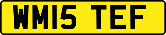 WM15TEF