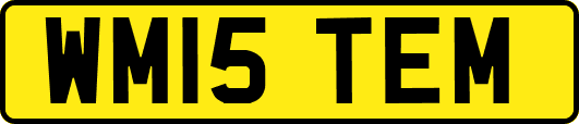 WM15TEM