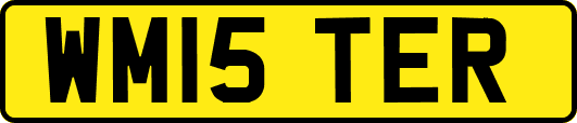 WM15TER
