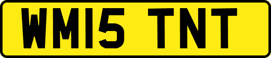 WM15TNT