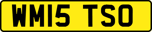 WM15TSO