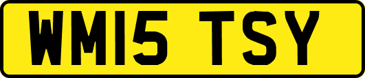 WM15TSY