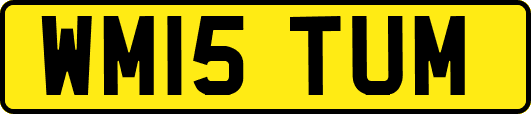 WM15TUM