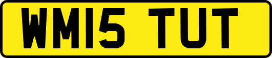 WM15TUT