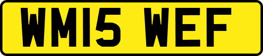 WM15WEF