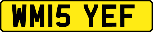 WM15YEF