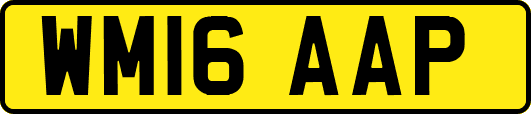 WM16AAP