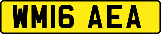WM16AEA