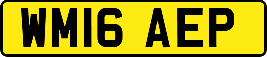 WM16AEP