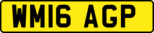 WM16AGP