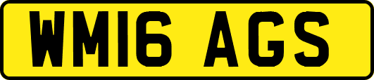 WM16AGS
