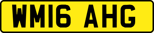 WM16AHG