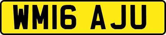 WM16AJU