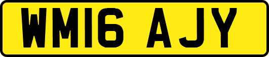 WM16AJY