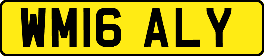 WM16ALY