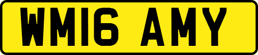 WM16AMY