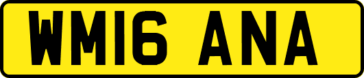 WM16ANA