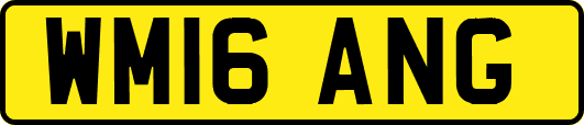 WM16ANG