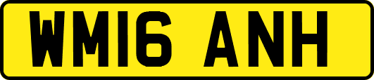 WM16ANH