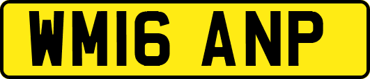 WM16ANP