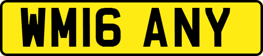 WM16ANY