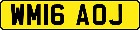 WM16AOJ