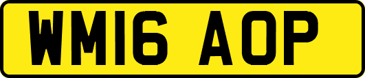 WM16AOP