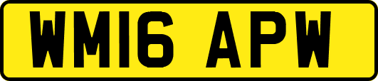 WM16APW