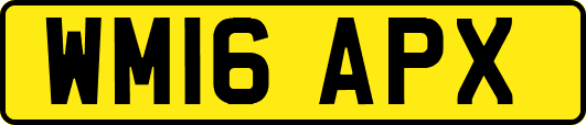 WM16APX
